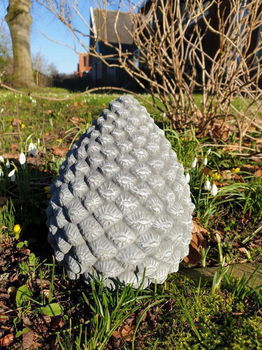 grote denneappel ,decoratie - 1