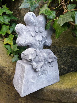 grafsteen voor hond , kado - 1