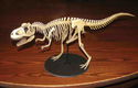 Tyrannosaurus Rex skelet - papieren bouwplaat - 0 - Thumbnail