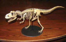 Tyrannosaurus Rex skelet - papieren bouwplaat