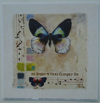 POSTER 18x18 cm DIEREN NIEUW - 0