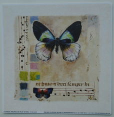 POSTER 18x18 cm DIEREN NIEUW