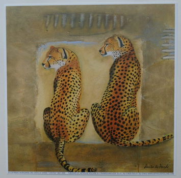 POSTER 18x18 cm DIEREN NIEUW - 1