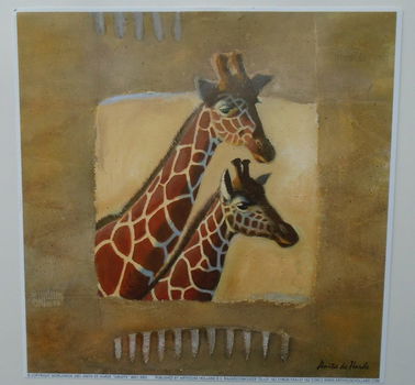 POSTER 18x18 cm DIEREN NIEUW - 2