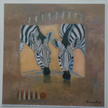 POSTER 18x18 cm DIEREN NIEUW - 4
