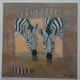 POSTER 18x18 cm DIEREN NIEUW - 4 - Thumbnail