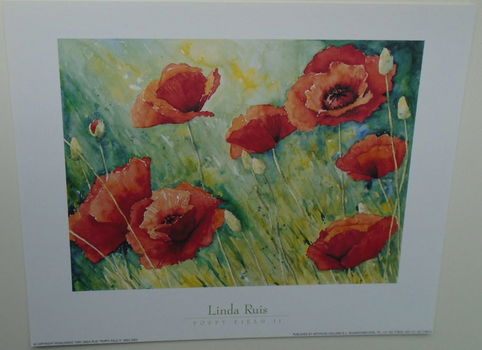 POSTER 25x20 cm BLOEMEN NIEUW - 2