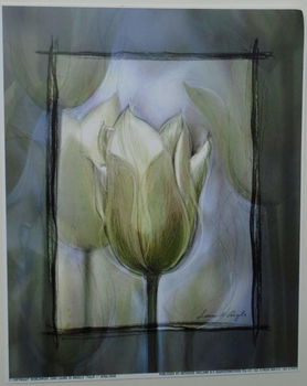 POSTER 25x20 cm BLOEMEN NIEUW - 4
