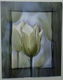 POSTER 25x20 cm BLOEMEN NIEUW - 4 - Thumbnail