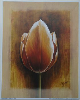 POSTER 25x20 cm BLOEMEN NIEUW - 5