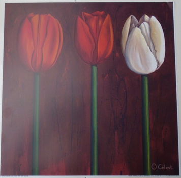 POSTER 30x30 cm THREE TULPS NIEUW - 0