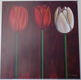 POSTER 30x30 cm THREE TULPS NIEUW - 0 - Thumbnail