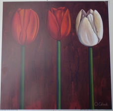 POSTER 30x30 cm THREE TULPS NIEUW