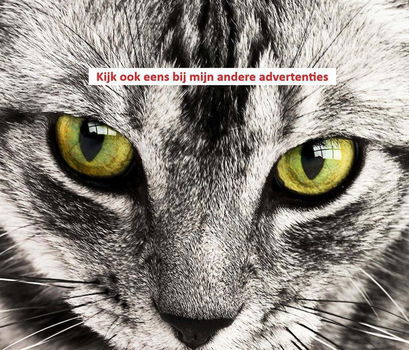 Kartonnen magazijnbakjes 24X - 3