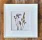 Twee fotolijstjes met daarin droogbloemen in de kleur wit. - 1 - Thumbnail