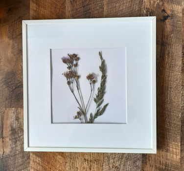 Twee fotolijstjes met daarin droogbloemen in de kleur wit. - 2