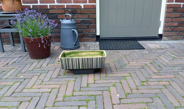 Vintage - grote bloempot - cactusbak - Frabertho Holland - 1