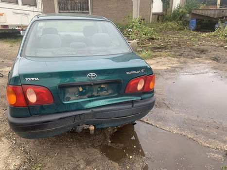 Toyota Corolla Sedan Groen - 3