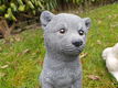 poolhond ,tuinbeeld ,kado - 1 - Thumbnail