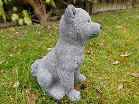 poolhond ,tuinbeeld ,kado - 2