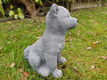 poolhond ,tuinbeeld ,kado - 2 - Thumbnail