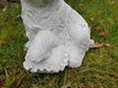 boemer hond , beeld , aanbieding - 1 - Thumbnail