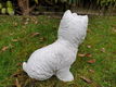 boemer hond , beeld , aanbieding - 3 - Thumbnail