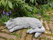 kat ,poes , beton - 0 - Thumbnail