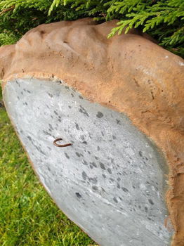 leeuw waterspuwer - 3