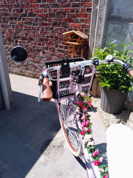 Tweetal transportfietsen te koop - 1