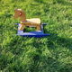 hobbel paard - hout - zeer solide - - 0 - Thumbnail