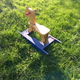 hobbel paard - hout - zeer solide - - 1 - Thumbnail