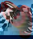 Sneakers maat 37 Aigle - 5 - Thumbnail