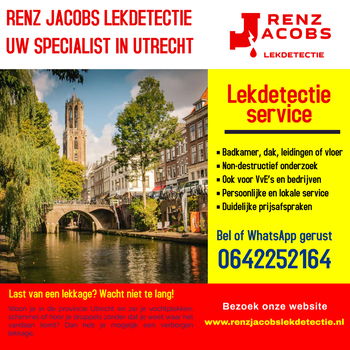 Vochtplekken? Lekkage? Laat het snel en zonder hak- en breekwerk opsporen! - 0