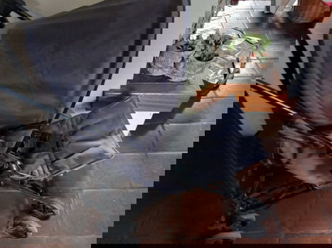 Buggy, - - 0