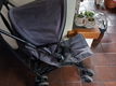 Buggy, - - 0 - Thumbnail