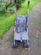 Buggy, - - 2 - Thumbnail
