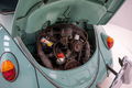 Volkswagen Kever 1200 Cabrio '62 CH5236 - 6 - Thumbnail