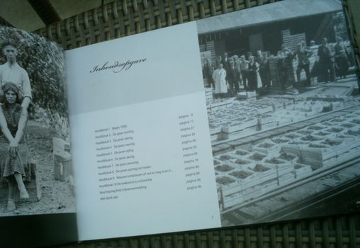 Herinneringen aan de Druivenkrenttijd. ISBN 9789081313315. - 1