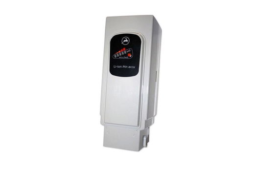 Revisie fietsaccu Gazelle Easy Glider NKY233B02 - 0
