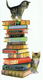 Maeve Binchy = Vluchtige ontmoetingen - 2 - Thumbnail