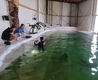 Kom óók zwemmen, snorkelen of Snuba duiken bij Fish World - 0 - Thumbnail