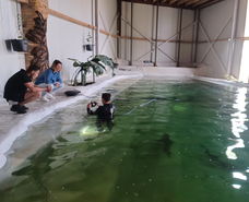 Kom óók zwemmen, snorkelen of Snuba duiken bij Fish World