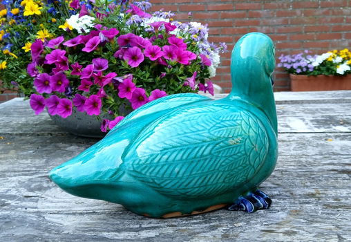 Eend van geglazuurd Chinese keramiek - jaren 50 - jaren 60 - 1