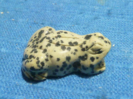 Hanger kikker van dalmatier jaspis - 1