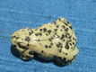 Hanger kikker van dalmatier jaspis - 2 - Thumbnail