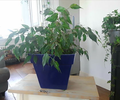 Grote bloempot - kobaltblauw - kobalt blauw (kleine mankementen) - 0