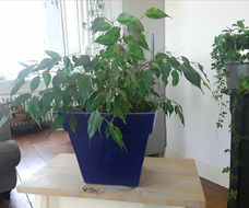 Grote bloempot - kobaltblauw - kobalt blauw (kleine mankementen)