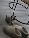 Langharige chihuahua - 1 - Thumbnail