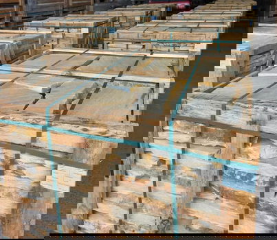 Brasil Yellow flagstones dikformaat - 6